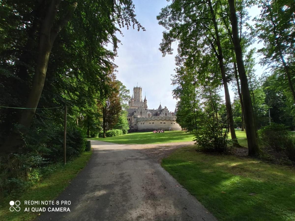 Ferienwohnung Colin Im Schoenen Weserbergland Naehe Freizeitpark Salzhemmendorf 외부 사진